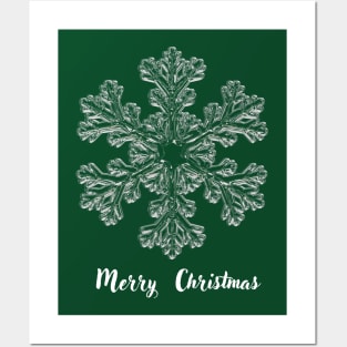 Merry Christmas Ice Crystal Posters and Art